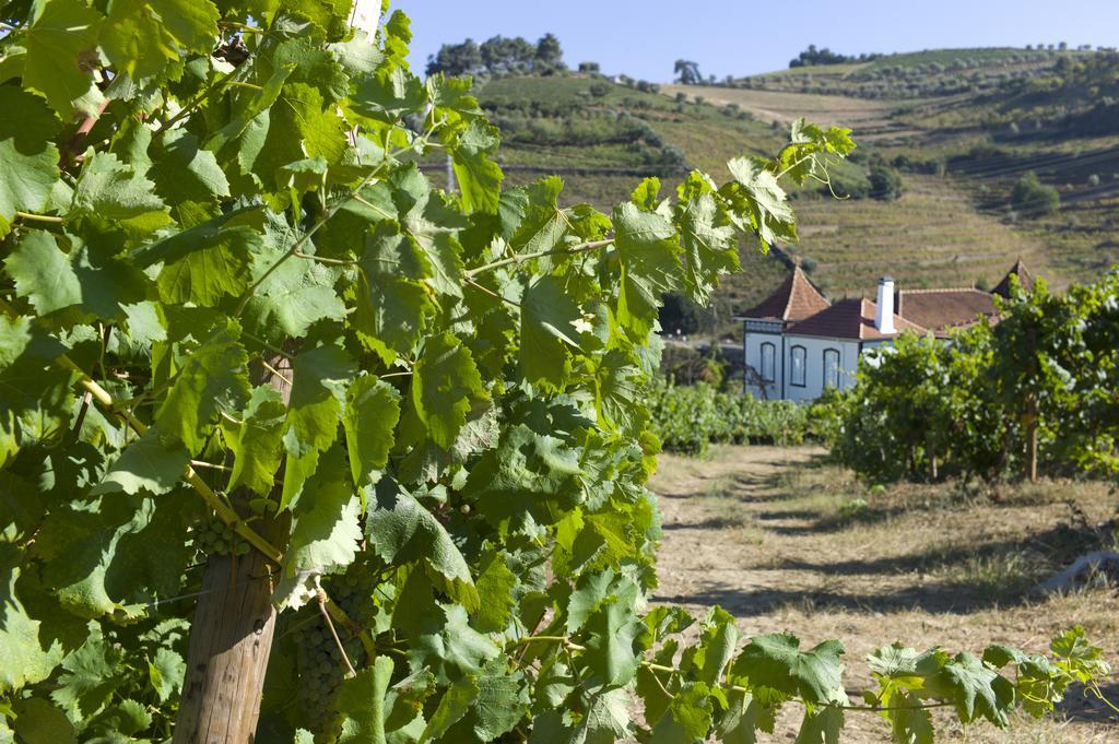 Casa De Cambres Guest House Lamego Exterior foto